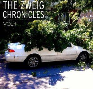 ZWEIG TV