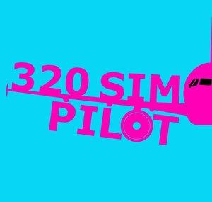 320 Sim Pilot