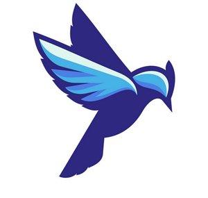 Bluejay Gaming