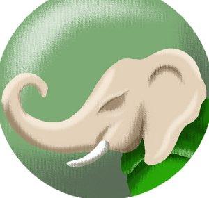 Innovative Pachyderm
