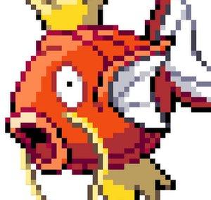 Kawa Karp