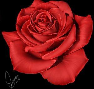 l BloodRose l