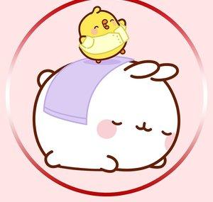 Molang Bahasa