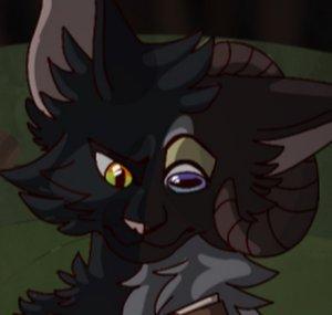 Nightpelts Dream