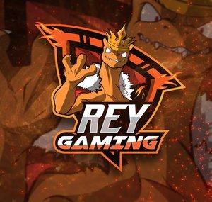 ReynordVGC