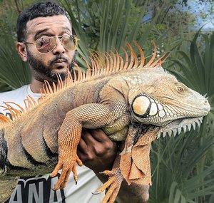 THE IGUANA MAN 