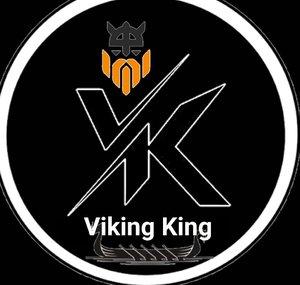 The Viking king detectorist