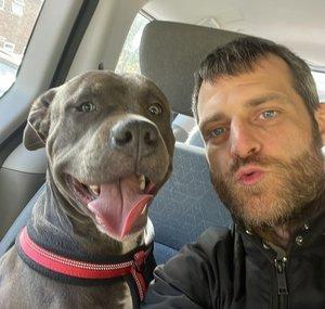 Dog Walkers Diary