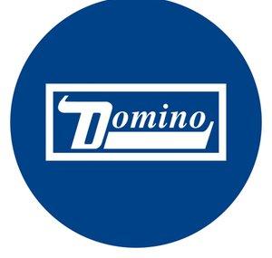 Domino Recording Co.