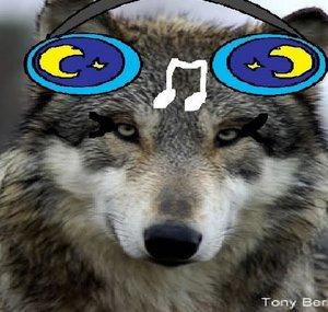 EchoSongTheSheWolf