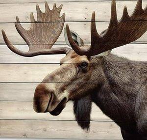 MooseTrainz 