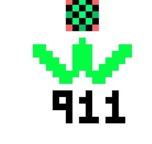 What the What the 911