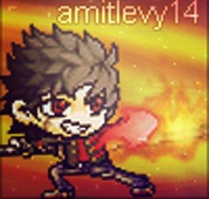 Amitlevy14