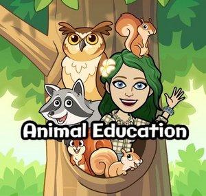 Animal Education