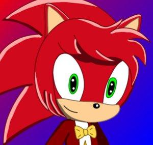 Caleb The Hedgehog