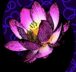 Frozen Lotus