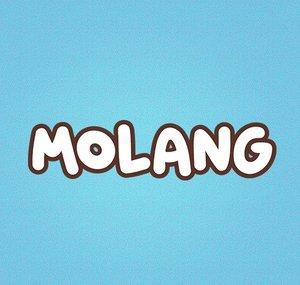 Molang Indonesia RTV