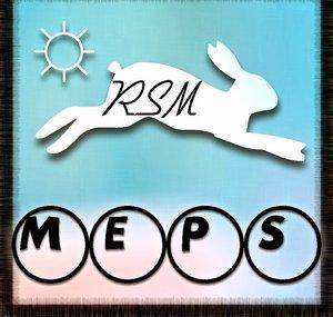 RisingSunMEPs