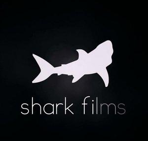 Shark Hirtreiter