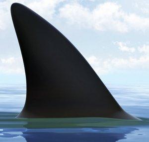 SharkSound