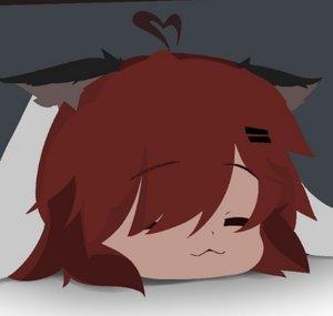 ZakiNoka