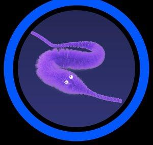 Aechkay