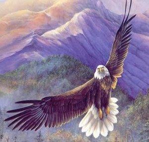AquilaTheEagle