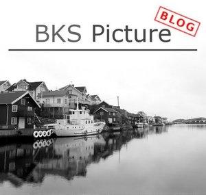 BlogBKSpicture