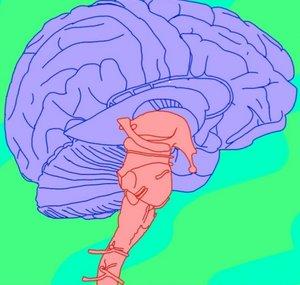Brainstem ALT