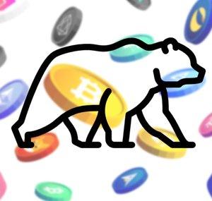 Crypto Misiek