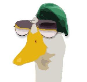 DuckShot84