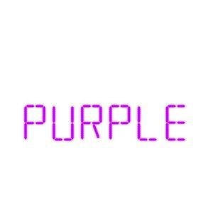 KURTISPURPLE