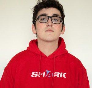 LifeOfShark