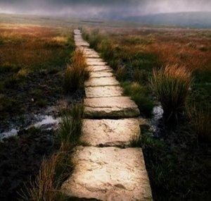 Narrow Path Doctrine Ministries 