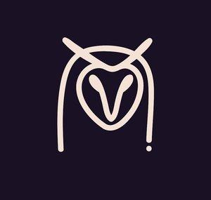 Night Owl Collective