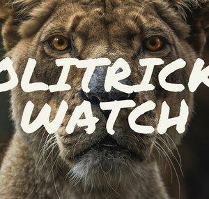 Politricks Watch