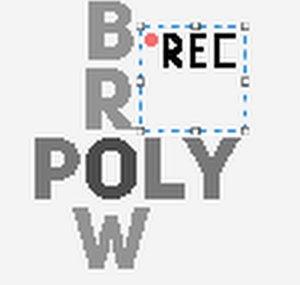 PolybrowTheVods