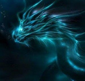 Seiryu05