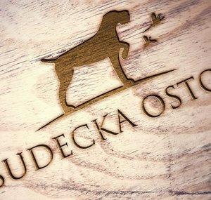 Sudecka Ostoja