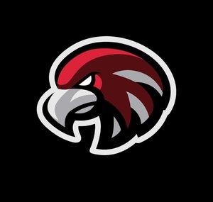 The8thHawk