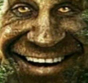 TheWillster