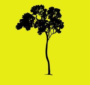 Jamie Tree 
