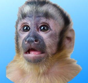 MonkeyHappy