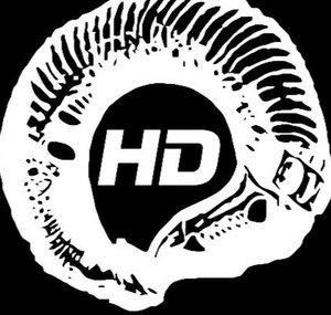 WormHoleDeathLabel
