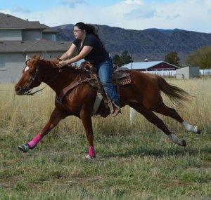 xEquineEthicx