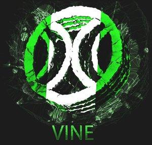 zViine1