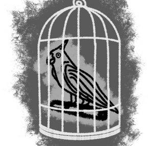Faraday's Cage