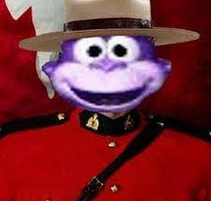 Flopy Pingas97