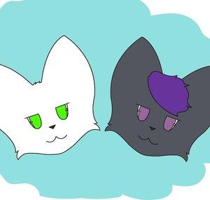 Furritos Joga