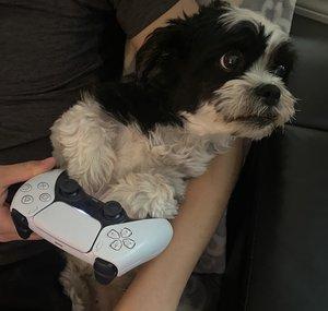 gen
